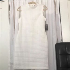 Brand New Sharagano Mini Dress